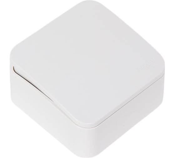 1-клавишный выключатель Systeme Electric Blanca наружный, Белый, 6А, 250В SE BLNVA061001