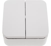 2-клавишный выключатель Systeme Electric Blanca наружный, Белый, 10А, 250B SE BLNVA105021