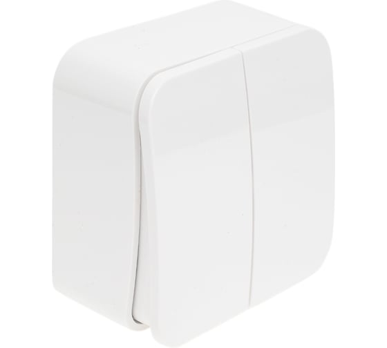 2-клавишный выключатель Systeme Electric Blanca наружный, Белый, 10А, 250B SE BLNVA105021