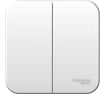 2-клавишный выключатель Systeme Electric Blanca наружный, Белый, 6А, 250В SE BLNVA065001