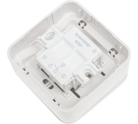 2-клавишный выключатель Systeme Electric Blanca наружный, Белый, 6А, 250В SE BLNVA065001