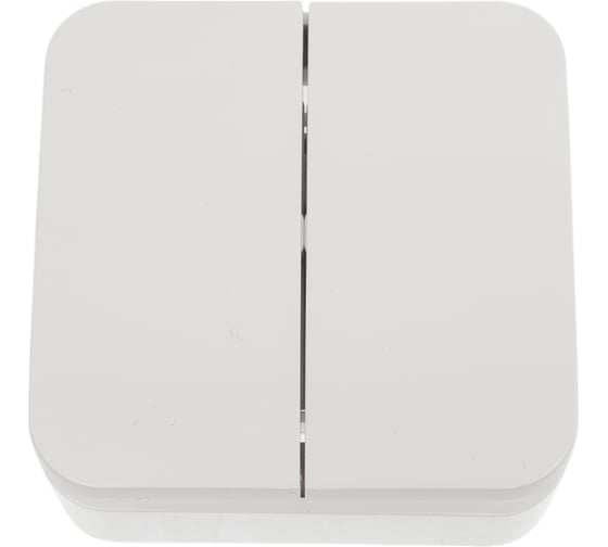 2-клавишный выключатель Systeme Electric Blanca наружный, Белый, 6А, 250В SE BLNVA065001