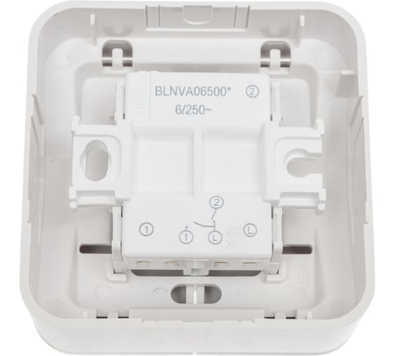 2-клавишный выключатель Systeme Electric Blanca наружный, Белый, 6А, 250В SE BLNVA065001