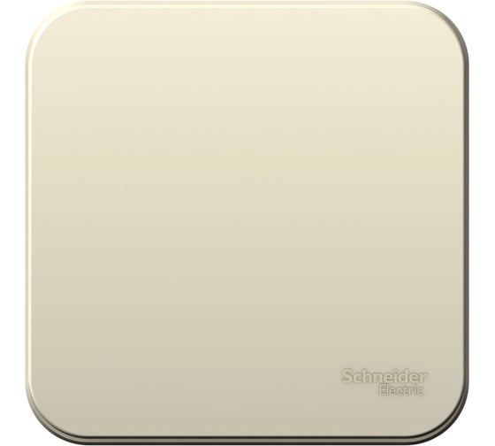 1-клавишный выключатель Systeme Electric Blanca наружный, Молочный, 6А, 250В SE BLNVA061002 1