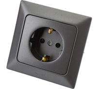 Розетка NE-AD с заземлением, керамика, 16А, 250В, Aras, Графит, 93-121-08-P