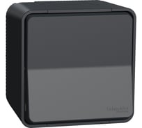 1-клавишный выключатель Systeme Electric Mureva Styl наружный, Антрацит, кнопочный, IP55 MUR35026