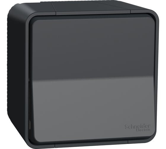 1-клавишный выключатель Systeme Electric Mureva Styl наружный, Антрацит, кнопочный, IP55 MUR35026 1
