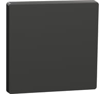 1-ая клавиша Systeme Electric Merten D-Life Антрацит SE MTN3300-6034