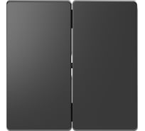 2-ая клавиша Systeme Electric Merten D-Life Антрацит SE MTN3400-6034