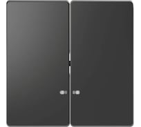 2-ая клавиша Systeme Electric Merten D-Life Антрацит с линзой для LED модуля SE MTN3420-6034