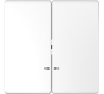 2-ая клавиша Systeme Electric Merten D-Life Белый Лотос с линзой для LED модуля SE MTN3420-6035