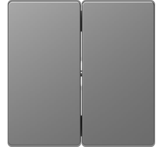 2-ая клавиша Systeme Electric Merten D-Life Нержавеющая Сталь SE MTN3400-6036 1