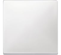 1-ая клавиша Systeme Electric Merten SD Белый термопласт SE MTN412119