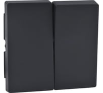 2-ая клавиша Systeme Electric Merten SM Антрацит SE MTN433514