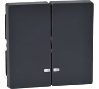 2-ая клавиша Systeme Electric Merten SM Антрацит, с подсветкой SE MTN3420-0414