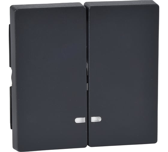 2-ая клавиша Systeme Electric Merten SM Антрацит, с подсветкой SE MTN3420-0414