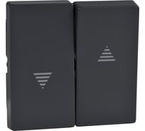 2-ая жалюзийная клавиша Systeme Electric Merten SM Антрацит SE MTN435514