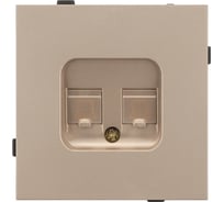Механизм компьютерной розетки двойной Arlight SCT-TENDO-MPC2-PL-GD 1шт 054103