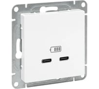 Механизм розетки EKF USB-C - 2шт, белый Эпика UP1-SOW-2USBC