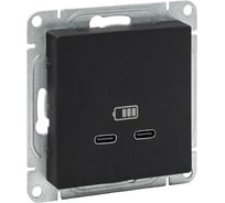 Механизм розетки EKF USB-C - 2шт, чёрный Эпика UP1-SOB-2USBC