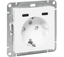 Механизм розетки EKF с USB-C - 2шт, 16А, с заземлением, со шторками, белый Эпика UP1-SOW-111-2USBC