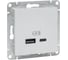 Механизм розетки EKF USB-A+С, алюминий Эпика UP1-SOA-USBA+USBC 1