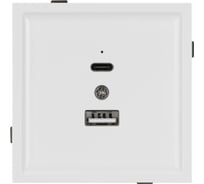 Механизм USB розетки Arlight SCT-TENDO-MUAC-PL-WH 1шт 054094