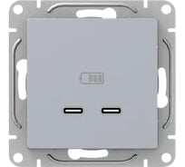 Механизм розетки EKF USB-C - 2шт, алюминий Эпика UP1-SOA-2USBC