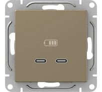 Механизм розетки EKF USB-C - 2шт, шампань Эпика UP1-SOC-2USBC