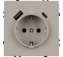 Механизм розетки Arlight с USB зарядкой SCT-NOBE-MUAC-SFPL-CA 1шт 059444