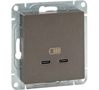 Механизм розетки EKF USB-C - 2шт, мокко Эпика UP1-SOM-2USBC