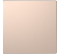 Заглушка Systeme Electric Merten D-Life Шампань SE MTN4075-6051