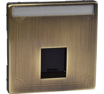 Накладка 1-ой розетки RJ45 Systeme Electric Merten SD Античная латунь SE MTN466443