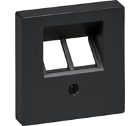 Накладка 2-ой телефонной/компьютерной розетки Systeme Electric Merten SM Антрацит, наклонной, SE MTN298014