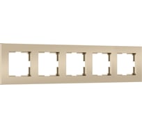 Рамка на 5 постов WERKEL Slab W0052911 (шампань софт) a071629