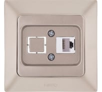 Компьютерная розетка NE-AD + гнездо с заглушкой, CAT6, Aras, Бронза, 93-123-23-D1