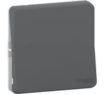 Механизм кнопочного выключателя Systeme Electric MUREVA S АНТРАЦИТ, IP55 MUR35027
