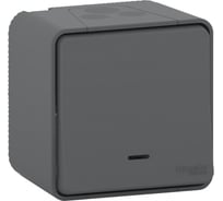 Одноклавишный переключатель Systeme Electric MUREVA S в сборе открытой установки с подсветкой IP55 MUR35024