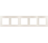 Рамка для розеток и выключателей ЭРА Серия 12 12510515 на 5 постов, Сатин, перламутр Б0052548