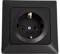 Розетка NE-AD с заземлением, 16А, 250В, Aras, Черный, 93-124-08