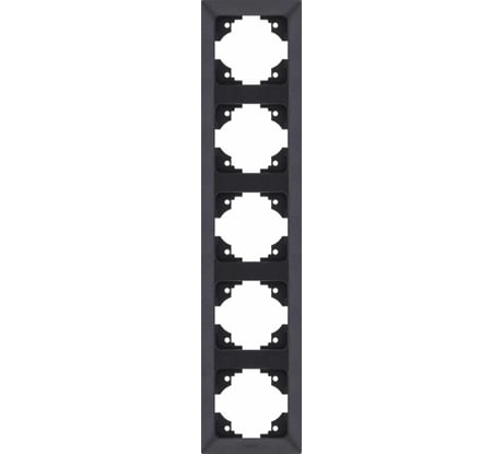 Вертикальная 5-местная рамка NE-AD Aras, Черный, 93-24-91