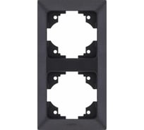 Вертикальная 2-местная рамка NE-AD Aras, Черный, 93-24-61