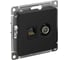 Розетка 2-ая ТВ + компьютерная RJ45 Systeme Electric (Schneider Electric) Atlasdesign карбон кат. 5Е ATN001089 1