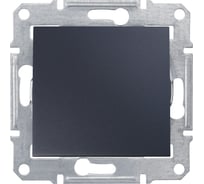 Заглушка Systeme Electric Sedna Графит SE SDN5600170