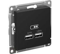 2-местная USB розетка Systeme Electric AtlasDesign Карбон 5В, 2,1 А ATN001033