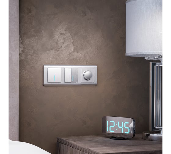 Двухклавишный выключатель WERKEL W1120109 с подсветкой серебряный рифленый a051356