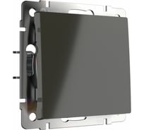 Перекрестный одноклавишный переключатель WERKEL WL07 SW 1G C a033770
