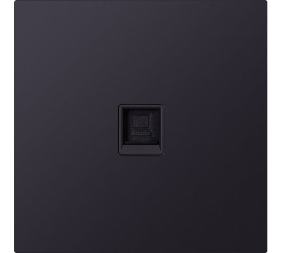 Розетка компьютерная SMARTBUY RJ-45 независимая 10А черная акрил Альтаир SBE-i11ba-S1-RJ 1