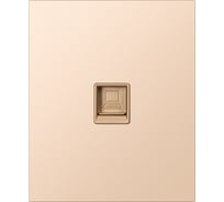 Розетка компьютерная SMARTBUY RJ-45 модульная 10А шампань акрил Альтаир SBE-m11ia-S1-RJ