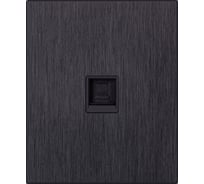 Розетка компьютерная SMARTBUY RJ-45 модульная 10А алюминий черный Альтаир SBE-m11alb-S1-RJ